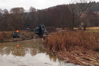 Licht für Pflanzen und Tiere: Teichsanierung im Greizer Park gestartet - Der Schlamm soll raus aus den Hammerwiesenteichen im Greizer Park.