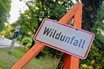Lichtenau: 17-jährige Bikerin bei Wildunfall ums Leben gekommen - Nach einem Zusammenstoß mit einem Reh ist eine 17-jährige Bikerin verstorben (Symbolbild).