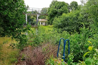 Lichtenstein: Countdown fürs Naturbad läuft - Eine Leiter ins Grüne gibt es am Sprungturm des einstigen Stadtbades.