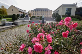 Lichtenstein: Gemeinsamer Einsatz für Museum und Stadtgeschichte - Im und am Kultur-Palais Lichtenstein wird gemeinsam Ordnung gemacht.