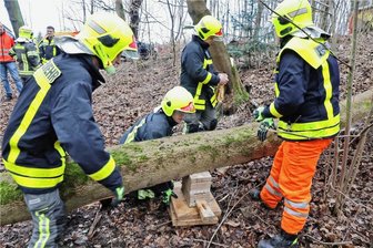 Die Feuerwehr Lichtenstein hat den umgestürzten Baum gesichert, unter dem der Verletzte lag.