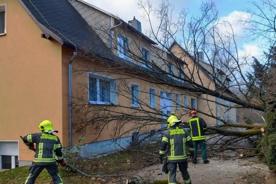 Lichtenstein/Oberlungwitz: Zweite Sturmnacht verläuft glimpflich - An der Schloss Allee musste die Lichtensteiner Feuerwehr einen umgekippten Baum zersägen. 