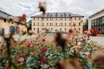 Lichtenstein: Paten gesucht für Rosenbeete - Die Rosenbeete am Palais wurden zur Landesgartenschau 1996 angelegt.