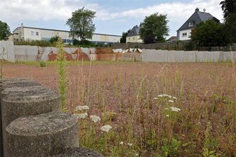 Lichtenstein: Penny-Bau soll bald starten - jetzt aber wirklich - Hier, an der Äußeren Zwickauer Straße, soll der neue Discounter entstehen. Seit einem Jahr passiert auf der Baustelle nichts mehr, inzwischen sprießen Gräser und Blumen.
