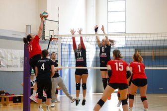 Lichtenstein will Gebühren für Sportstätten erhöhen - Die Hallennutzung in Lichtenstein soll künftig teurer werden. Im Bild die Volleyballerinnen von Fortschritt Lichtenstein bei einem Spiel im Sportzentrum der Stadt.