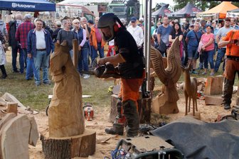 Lichtentanne: Kettensägenkünstler treffen sich in Ebersbrunn - Frank Hempel aus Werdau steht auch diesmal auf der Teilnehmerliste. Er konnte sich 2023 im Haasenwald ausreichend Punkte sichern, um an den Deutschen Meisterschaften teilnehmen zu können.