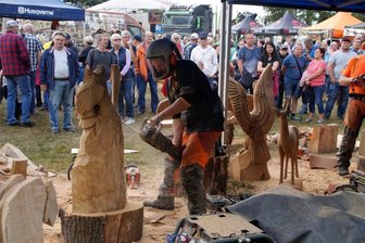 Lichtentanne: Künstler an der Kettensäge - Jeweils ein „Waldschrat mit Kauz“ brachte Frank Hempel die nötigen Punkte, um sich für die Deutsche Meisterschaft zu qualifizieren.