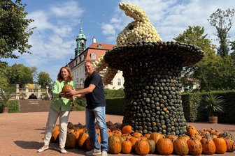 Lichtenwalde: Meterhohe Kürbisskulpturen verwandeln Schloss und Park in Zirkus-Welt - Patrizia Meyn und Stefan Hinner haben die Kürbisse für das Lichtenwalder Festival fest im Griff.