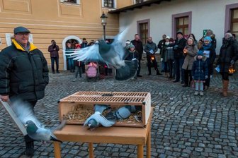 Lichter und Tauben für den Frieden -