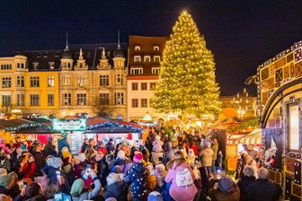 Lichterglanz bis Anfang Februar: Zwickau verlängert die Weihnachtszeit - Der erleuchtete Weihnachtsbaum bleibt den Zwickauern künftig länger erhalten.