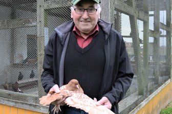 Liebe zu den Tauben hält bereits seit 66 Jahren - Gerd Glöckner beschäftigt sich seit 1955 mit der Zucht von Tauben, zudem ist er stellvertretender Chef des Rassegeflügelzüchtervereins Eppendorf. 