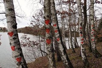 Liebeserklärungen an der Koberbachtalsperre -