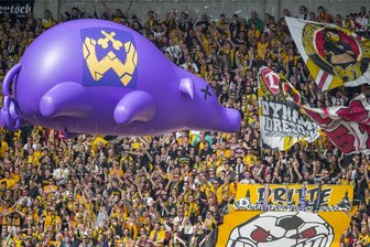 Lila Aue-Sau beschert dem Erzrivalen FSV Zwickau einen Geldsegen - Der Hingucker des Spiels Dynamo Dresden gegen FC Erzgebirge Aue am 30. April 2016: Ultra-Fans lassen eine lila Aue-Sau über den K-Block im Dresden Harbig-Stadion fliegen. Jetzt ist sie zerlegt und verkauft worden. 