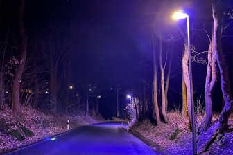 Lila Straßenlicht in Adorf: Dieses handfeste Problem steckt hinter dem merkwürdigen Farbton - Wenn es Nacht wird, wird es lila: Farbenspiele am Krummen Weg in Adorf.