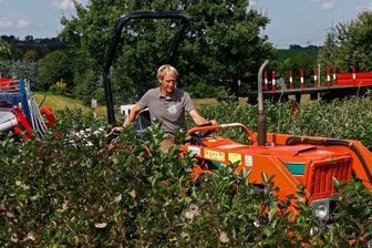 Lilafarbene Hände verraten Pflücker der "Gesundheitsbeere" - Daniel Pistorius fährt mit Traktor und Erntemaschine durch die Plantage in Langenchursdorf.