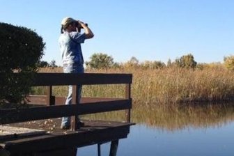 Die Beobachtungsplattform am Großen Teich. 