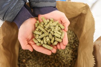 Limbacher Kräuter als Wurmkur für Hamster, Pferde und Hunde: Wie ein Landwirt auf diese Idee kam - Die innovativen Tierfutterpellets aus Wolkenburg vereinen regionalen Anbau und Tiergesundheit.