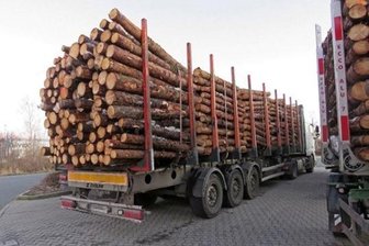 Lkw auf der A 72 mit 22 Tonnen Holz zu viel unterwegs - 