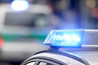 Lkw-Dieb flüchtet vor Polizei auf Baum -