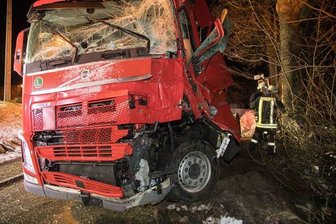 Lkw kollidiert mit Baum - 