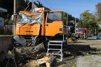 Lkw kracht gegen Baum: Fahrer schwer verletzt -