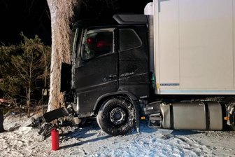 Lkw kracht gegen Baum - Am Donnerstagabend rutschte der Lkw in Gahlenz auf glatter Straße gegen einen Baum. Der Fahrer wurde dabei schwer verletzt. 