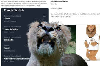 Löwin von Kleinmachnow: So witzelt das Netz über die Jagd - 