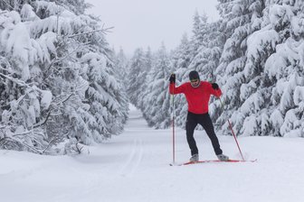 Loipen rund um Seiffen sind bestens präpariert - Die Loipen in und rund um Seiffen sind gespurt und sehr gut befahrbar.