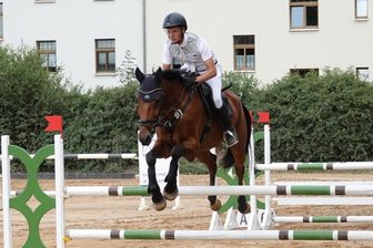 Lokalmatador holt Sonderpreis - Felix Wassenberg startete bei seinem Heimturnier am Dienstag mit mehreren Pferden. Hier meistert er auf Havanero ein Hindernis.