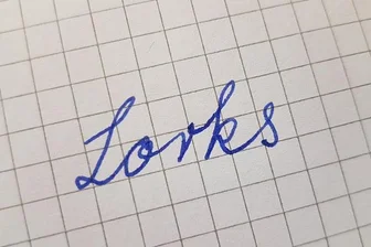 Lorks ist erzgebirgisches Mundartwort des Jahres - 