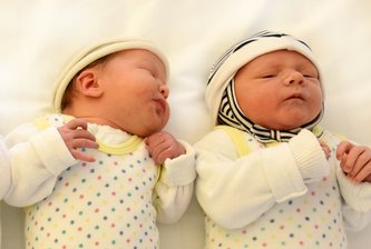 910 Geburten wurden 2019 in Zwickau beurkundet.