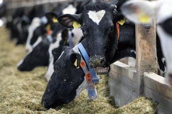 LPG-Geschichte nicht beendet - 