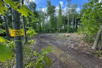 „Lückenschluss“ im ehemaligen Kletterwald in Werdau geplant - Die freien Flächen im ehemaligen Kletterpark in Werdau sollen aufgeforstet werden.