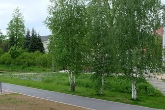Lugau und Oelsnitz besiegeln 1,5-Millionen-Euro-Projekt - Im Lugauer Stadtpark ist noch offen, ob der Radweg über die Gleise oder den bereits gebauten parallelen Weg verläuft. Rechts: der ehemalige Bahnhof.