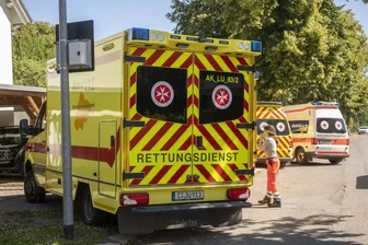 Lugau: Wespenangriff auf Kita-Gruppe - drei Kinder im Krankenhaus - 