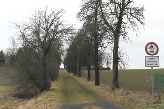Lugaus grünes Ziel: "In jeder Ecke wächst 'ne Hecke" - Unter anderem soll die alte Birnenallee an der Bergstraße erneuert werden. Acht alte und vergreiste Bäume werden durch neue ersetzt, insgesamt werden 20 Birnbäume gesetzt. Außerdem ist das Pflanzen insektenfreundlicher Sträucher zugesagt.