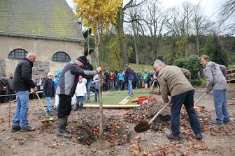 Luther-Eiche zum Reformations-Jubiläum gepflanzt - In Schönheide wurde am Dienstag eine Luther-Eiche gepflanzt.