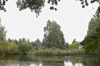 Mühlteich in Oberwiera: Sportfischer-Verein erhält Zuschlag - Die Sportfischer übernehmen ab Anfang 2022 die Bewirtschaftung vom Mühlteich. 