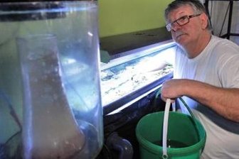Wolfgang Seidel vom Schwarzenberger Verein der Aquarianer hilft bei der Betreuung und Pflege der Tiere. Mindestens dreimal pro Woche unterstützt er den Chef des Objekts tatkräftig bei der Wartung der Anlage. Hier wird gerade Algenbelag aus den Becken entfernt und die Filteranlage gereinigt.
