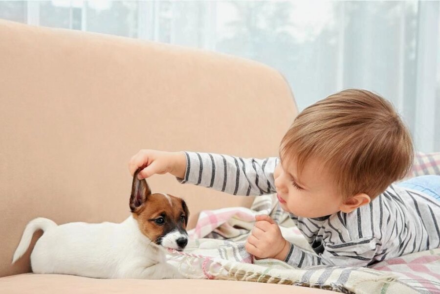 "Mach fein ei mit dem Wauwau" - Erziehungsberaterin über das Streitthema Babysprache - Selbst Babys kann man schon sagen, dass sie den Hund nur streicheln sollen. Eine Mischung aus Babysprache und korrektem Deutsch ist ideal. 