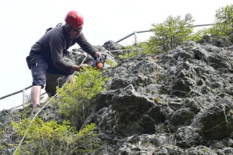 „Machen statt meckern“: Neuer Verein im Vogtland packt erstmals an - Vereinsmitglied Rico Jakob beim Beseitigen von Wildanflug auf dem Topasfelsen.