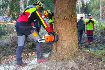 Mächtige Fichte aus dem Vogtland soll Zwickauer Weihnachtsmarkt schmücken - Ernst-Moritz Jacob, Juniorchef der Firma Wald Jacob aus Markneukirchen, fällte den Baum.