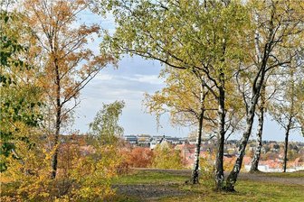 Mädchen stürzt an der Alten Elisabeth ab - Den Ausblick von der Zeche "Alte Elisabeth" über die Dächer von Freiberg schätzen viele Ortskundige.