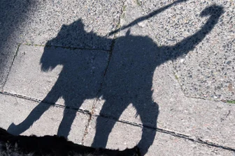 Männer attackieren im Erzgebirge Mädchen beim Gassigehen mit Hund - Ein Mädchen ist in Burkhardtsdorf angegriffen worden, als es mit einem Hund unterwegs war.