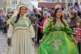 Märchenhaft schöne Kostüme begeistern bei Umzug in Auerbach - Prächtige und farbenfrohe Kleider waren eine Augenweide.