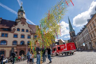 Maibaum schmückt Markt in Geringswalde - 
