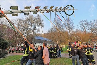 Maibaumsetzen in Oberbobritzsch traditionsreicher als anderswo - Das Maibaumsetzen in Oberbobritzsch ist jedes Jahr ein Kraftakt aller Vereine des Ortes. 