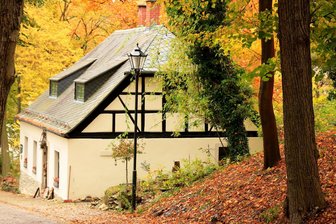 Maler Frank H. Zaumzeil zeigt neue Werke in Mylau - Im Gärtnerhaus am Fuß der Burg Mylau wird eine Zaumzeil-Schau eröffnet.