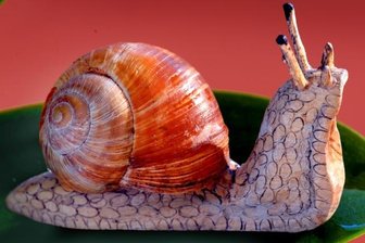 "Man kann sich messen und dazu lernen" - Täuschend echt wirken die geschnitzten Schnecken aus der Werkstatt von Friedrich Schlosser, denen er echte Häuser auf den Rücken klebt.