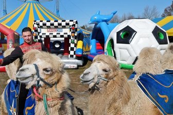 Manege frei auf der Glauchauer Hammerwiese -